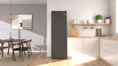 Bosch GSN36VCCG gr Standgefrierschrank 