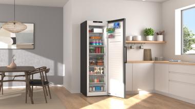 Bosch GSN36VCCG gr Standgefrierschrank 