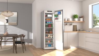 Bosch GSN36VLDG Ed-Look Gefrierschrank 