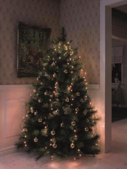 LED-Baummantel Innen, amber 6W  6362-820 