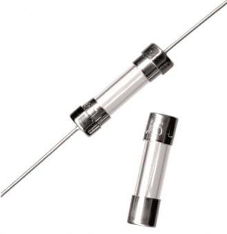 ESKA 5x20mm T 10A 250V           522.027 