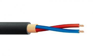 KIND Mikrofonkabel, 2x0,22m   7489000126 