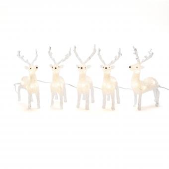 LED Acryl Rentier 5er-Set H19cm 6288-103 