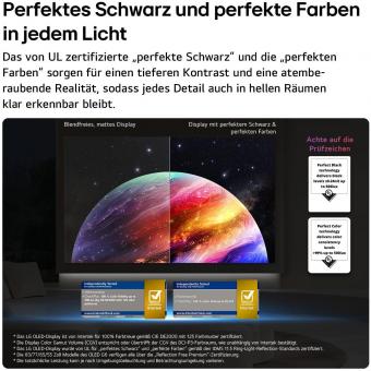 LG OLED65G68LW sw OLED-TV m.Wandhalter 