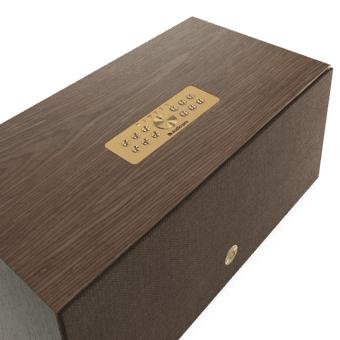 audio pro C20 W walnuss 