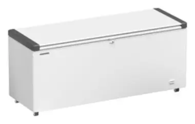 Liebherr EFL 6055-21 Gastro-Gefriertruhe 