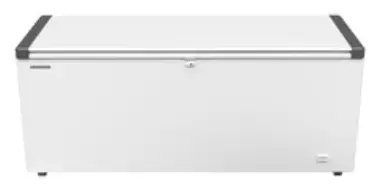 Liebherr EFL 6055-21 Gastro-Gefriertruhe 