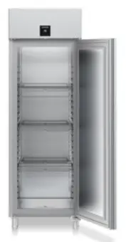 Liebherr FFPSvg 6501-40 Gastrogefriersch 