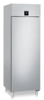 Liebherr FFPSvh 6501-40 Gastrogefriersch 