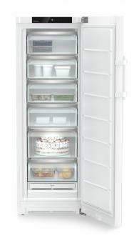 Liebherr FNd 5036-20 ws Gefrierschrank 