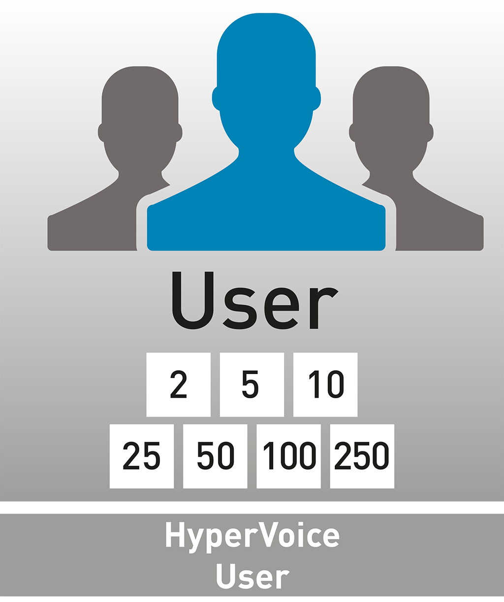 AGFEO HyperVoice Lizenz für 2 User 