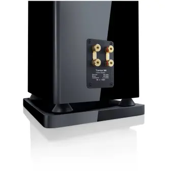 Canton Townus100 sw-hg Standlautsprecher 