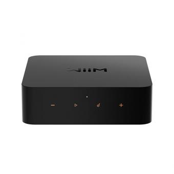 WiiM Pro schwarz High-Res Streamer 