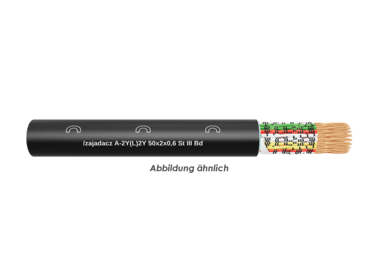 A-2Y(L)2Y 50x2x0,6 St III Bd Fca  TR500m 