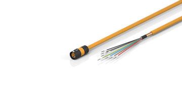 BECK Motorleitung 5m    ZK4704-0421-2050 