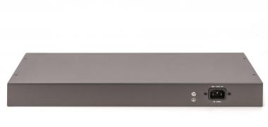 Assmann 24-Port Fast Ethernet   DN-95343 