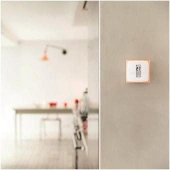 NETATMO NTH-PRO Smartes Thermostat 