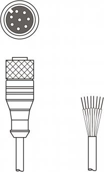 Leuze Anschlussltg.   KD S-M12-8A-P1-050 
