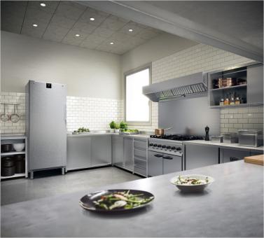 Liebherr FRFCvg 6501-20 Gastrokühlschran 