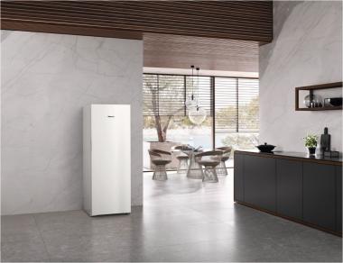 Miele FN 4844 C ws Standgefrierschrank 