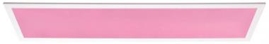 Paulmann WallCeiling Amaris ZB     79810 