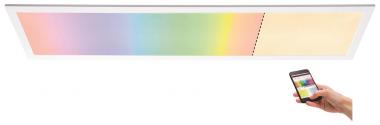 Paulmann WallCeiling Amaris ZB     79810 