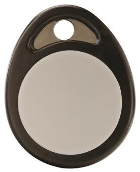 Delta Dore BRFID TYXAL+ RFID-Chip f.LB 