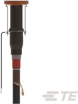Rayc Stecker gerade Typ A    RSSS-525B-E 