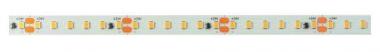 Rutec Flex.LEDStrip,24V,Innen,  82215-V2 