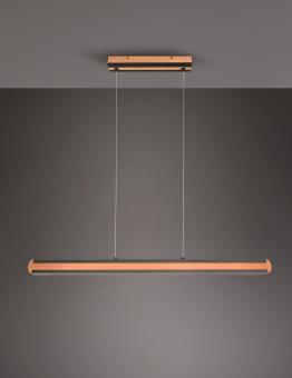 TRIO Pendelleuchte DEANCON 42W 326610232 