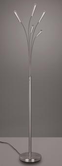 Trio LED-Stehleuchte REED, 5x  R41031507 