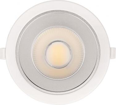 DOTLUX LED Downlight         4973-0FW060 