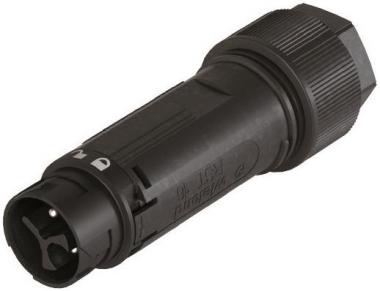 Wieland              RST16I3 S S1 ZT3 SW 