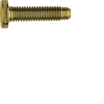ELCOM Schraube Spezial ZY M5x25  REH123Y 