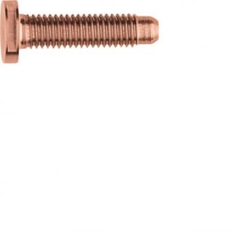 ELCOM Schraube Spezial ZY M5x25  REH128Y 