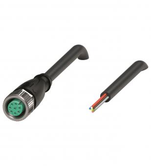 PF Kabeldose M12       V19-G-BK10M-PUR-U 