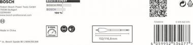 Bosch EXPERT SELFCUT Speed    2608900333 