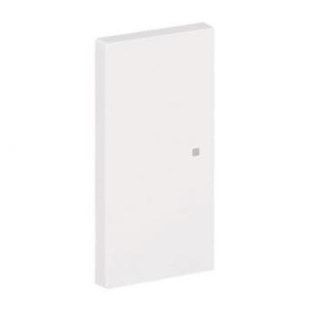 BJ Wippe 2-fach neutral      6230-20-44G 