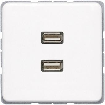 JG Multimediaanschluss 2x   MACD1153WW 
