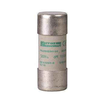 GS Sicherung 22x58              DF2FA125 