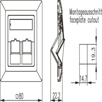 TG Modulaufnahme 80x80 2fach H02010A0040 