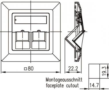 TG Modulaufnahme 80x80 2fach H02010A0040 
