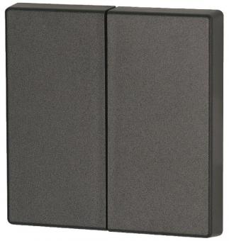 EATON CWIZ-02/04 Wippe 2fach      126049 