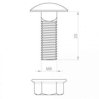 Unex  Schraube DIN 603 mit Muttern M8X25 