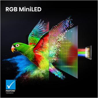 Hisense 65UR8DS sw Mini LED-TV RGB 