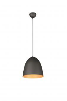 Trio Pendelleuchte TILDA,1x    R30661080 