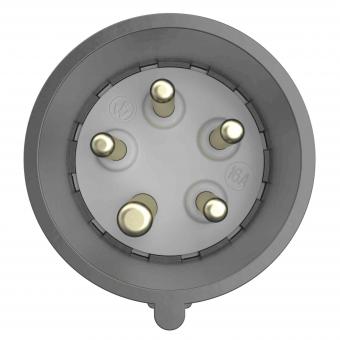 Walther CEE NEO Stecker       FW231506PH 