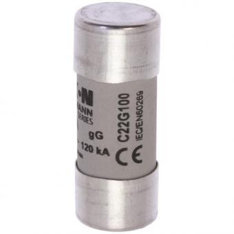 EATON Zylindersicherung 22x58    C22G100 