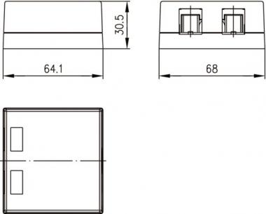 TG Modul-Aufn. 2-fach AP     H02000B0065 