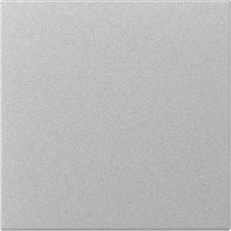 GIRA 349626 Wippe gerade System 55 
